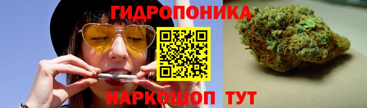 Бошки марихуана Bruce Banner  Марихуана THC 21%  Марихуана индика  Вход с VPN  Сунжа  Марихуана THC 21% 